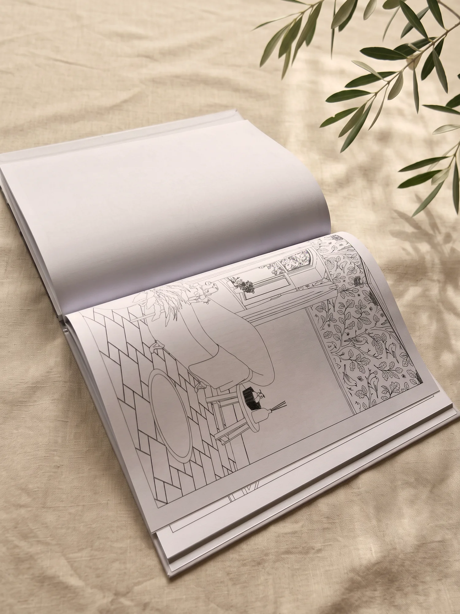 El libro abierto por una lámina